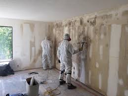 Best Emergency Mold Remediation  in Annetta, TX